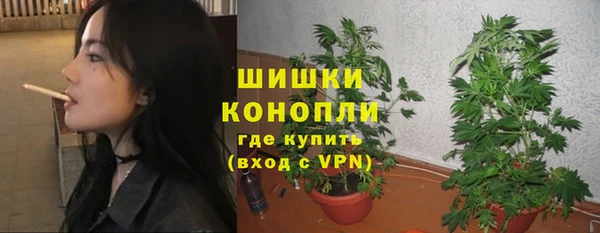 не бодяженный Бородино