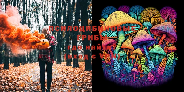 не бодяженный Бородино