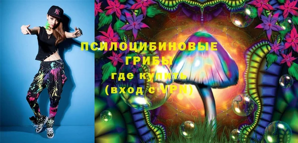 не бодяженный Бородино