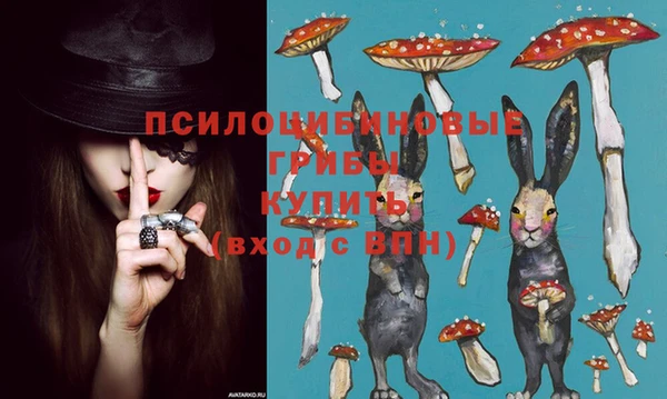 хмурый Бронницы