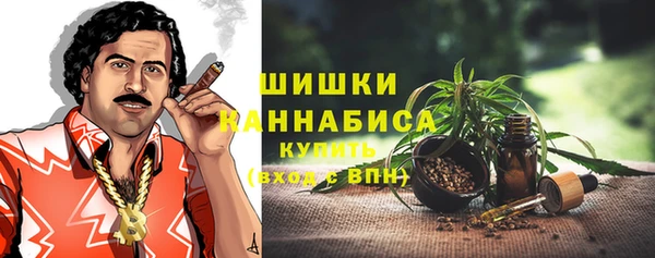 хмурый Бронницы